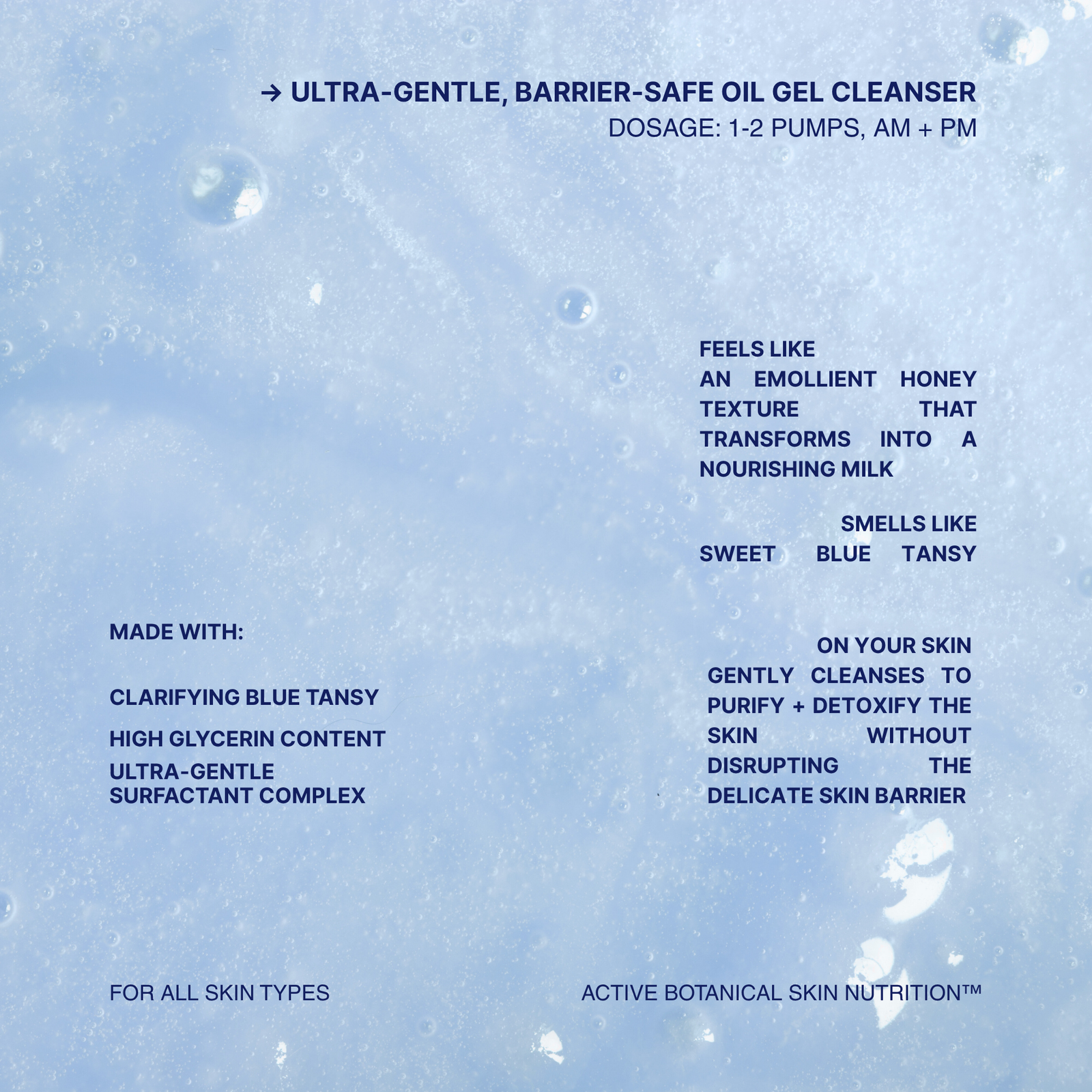 Purity Detoxifying Oil Gel Cleanser